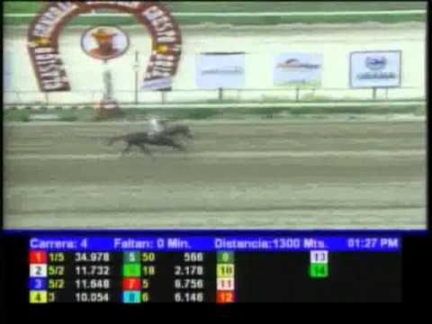 Resumen Domingo, 08 de Julio de 2012 - La Rinconada