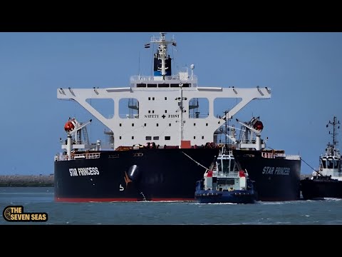 Shipspotting ROTTERDAM 2023! -  Huge bulk carrier and container ships !