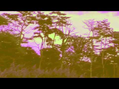 TIZZZ - CITY PIRATES  (prod. blunt christ)