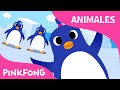 Pingüinos A Bailar Animales PINKFONG Canciones Infantiles