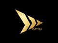 We Are The Future We Are Matrix
