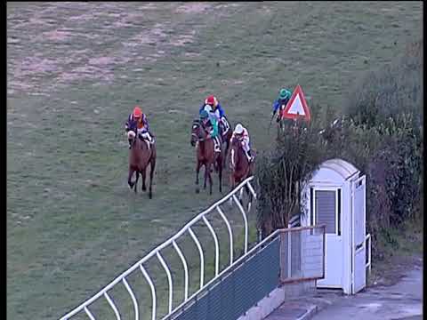 Galoppo 19/01/2019 - 1ª corsa