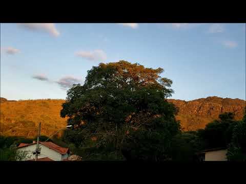 UZEB (Caron, Cusson, Brochu & Montanaro), Montréal (1982)