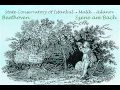 Beethoven: Szene am Bach / "At the Brook" • Pastoral Symphony
