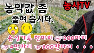 농약값 줄이는 방법, 해충은 초장에 박멸하기, 저렴한 비용으로 해충 초장에 잡는 방법 [농사TV]