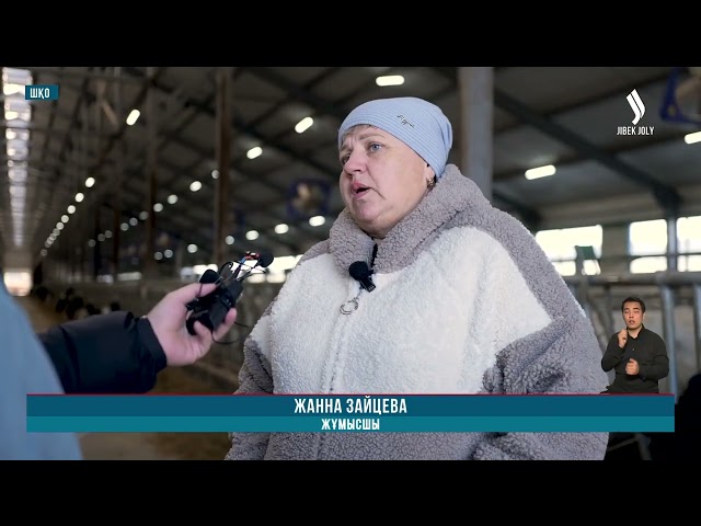 ШҚО-да «Агробизнес» несиелеу бағдарламасы жүзеге асып жатыр