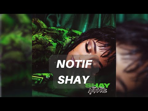 Shay - Notif (English Translation and Lyrics)