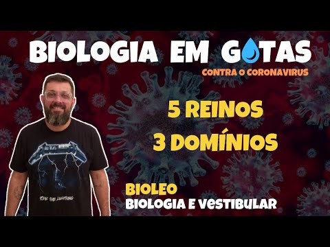 [Biologia em Gotas] - #14 5 Reinos 3 Domínios