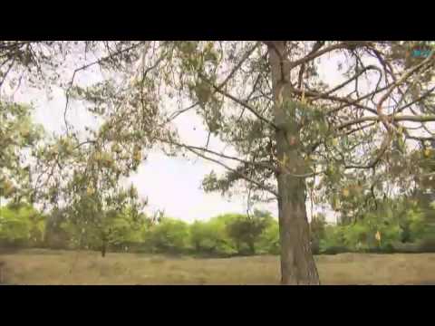 Natuurlijk Noord-Holland: Het Laarder Wasmeer