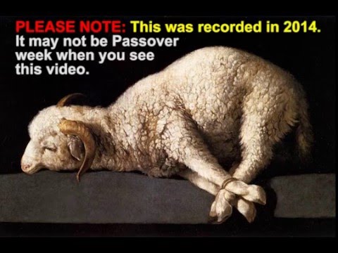 VHC Week 27 - Torah Portion: Tazria (Conceived)