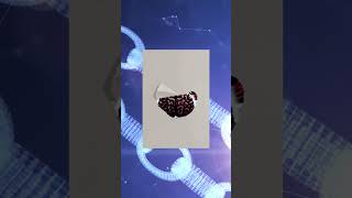 Pha sửa effect thừa thải nhất lịch sử yugioh