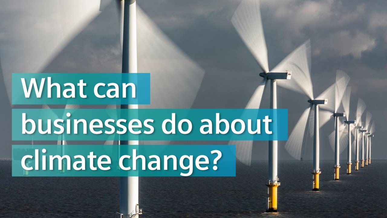 What can businesses do about climate change?