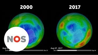 NASA: Gat in de ozonlaag is opnieuw kleiner
