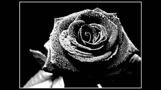 Alana Grace - Paranoid (Lyrics)