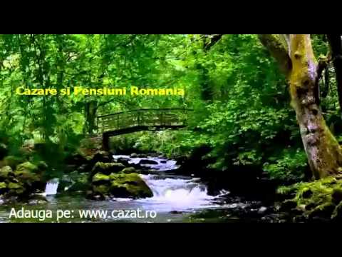 Cazare Valea Morii, Dambovita - Cazat.ro