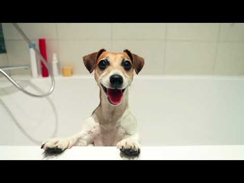 Water Conservation Tips