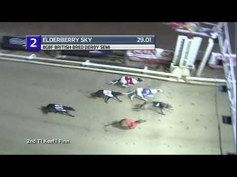 2020 BGBF BRITISH BRED DERBY - 1ST SEMI - T2 ELDERBERRY SKY