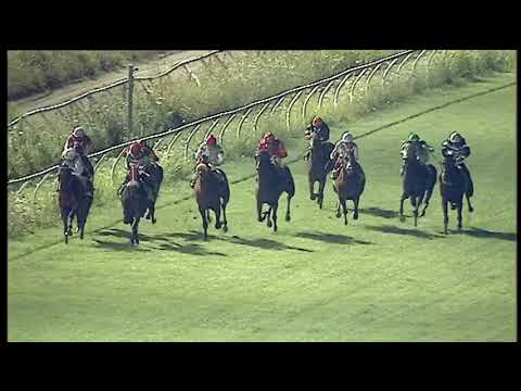 Galoppo 25/07/2020 - 6ª corsa