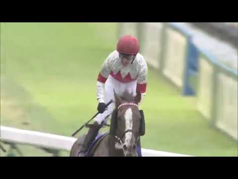 2019 Japan Cup (G1) | JRA Official