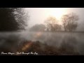 Piano Magic - Shot Through The Fog