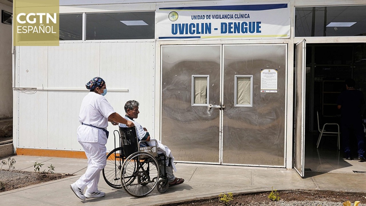 El virus del dengue mantiene en alerta al sistema sanitario peruano