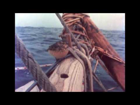 The Brendan Voyage 2