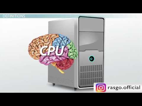 Central Processing Unit (CPU)- Parts, Definition & Function