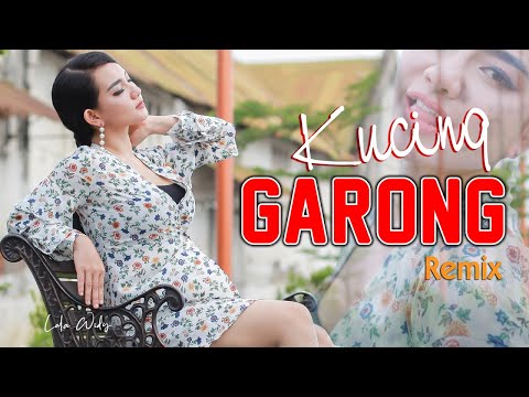 Lala Widy - Kucing Garong  (REMIX)   |   Official Music Video