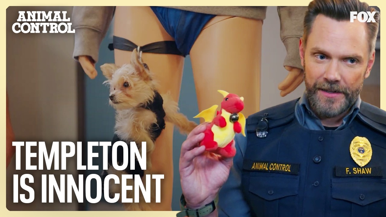 Frank Defends Templeton In The Court Of Animal Control Law | Animal Control