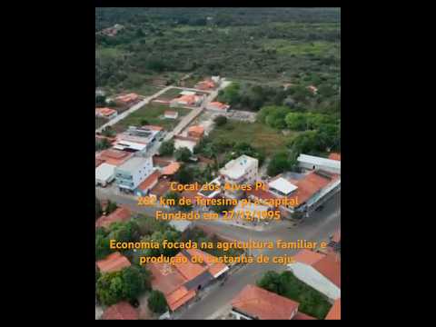 Terra do cajú, Cocal dos Alves PI, minha cidade natal