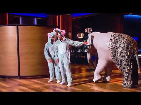 Elephant Pants Shark Tank Pitch