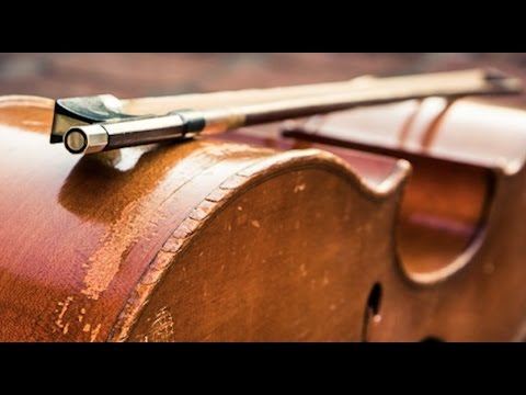 FREE Cello Sample Library - Review of PocketBlakus Cello