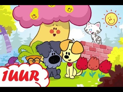 Woezel en Pip Afleveringen Nederlands ★ Nieuwe ✩ Woezel en Pip 1 UUR HD