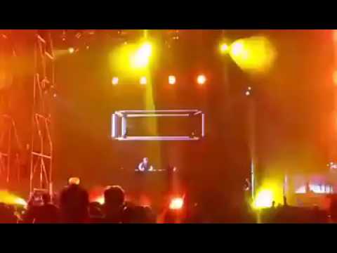 HARDWELL STOPS PERFORMANCE TO URGE CROWD TO STOP FIGHTING