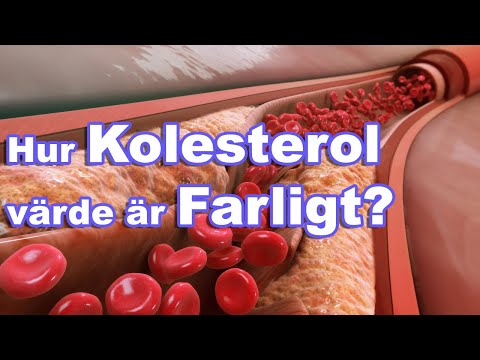 (SW) Vad är Kolesterol? 🔬 Din Guide till Friskare Blodfetter! 🫀