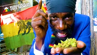 Sizzla - Free Up [Official Video 2021]