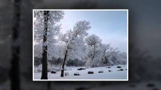 Christmas Time is Here ~ Sarah McLachlan