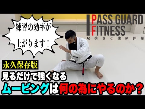 『永久保存版』見るだけで強くなる！ムービングは何の為にやるのか？を説明しました【柔術】【BJJ】
