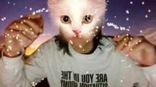 cat face sings Neil Young - Lost in Space
