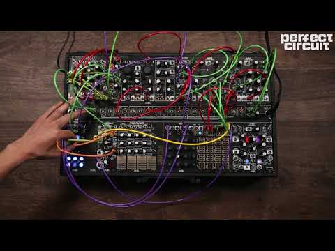 Make Noise Rene 2018 3D Cartesian Sequencer image 2