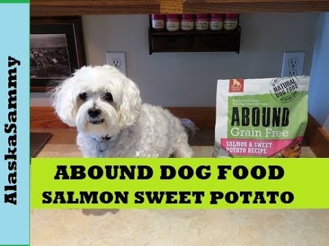 Abound Grain Free Dog Food Salmon Sweet Potato