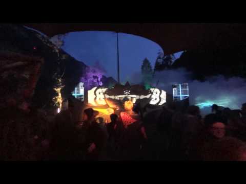 Zik @ One Love Festival 2016