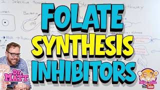 Folate Synthesis inhibitors | Antibiotics