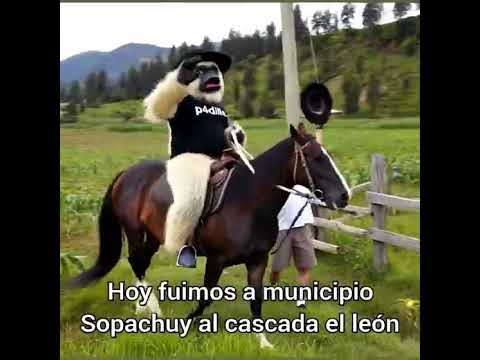 Sopachuy chuquisaca bolivia