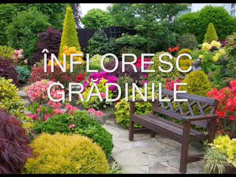 Înfloresc grădinile - Cântecel pentru copii