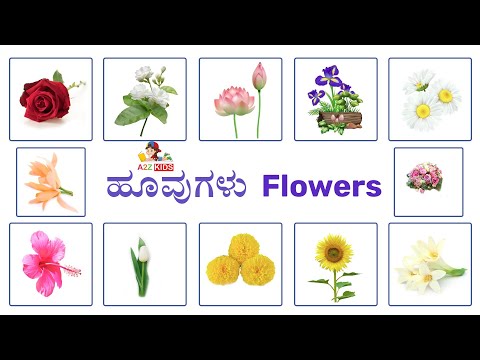 ಹೂವುಗಳ ಹೆಸರು /  Huvugala hesaru | Flowers names in kannada / Learn flower names in Kannada