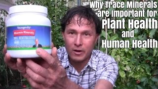 Why Trace Minerals Are Important for Human &amp; Plant Health