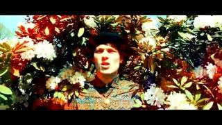 BLACKBERRIES - Flowers Paint The Sky (Official Video)