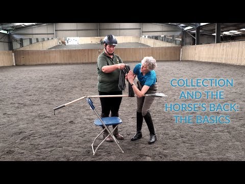 Improving Your Posting Trot