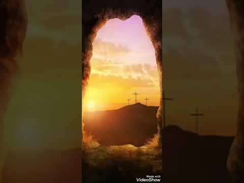 Un souffle nouveau || Tuff